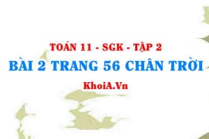 Bài 2 trang 56 Toán 11 Tập 2 Chân trời sáng tạo